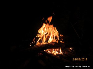 IMG_5599.JPG