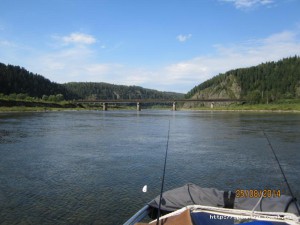 IMG_5617.JPG