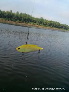 IMG_20140824_090701.jpg