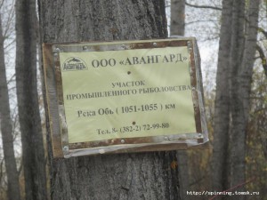IMG_9594.jpg