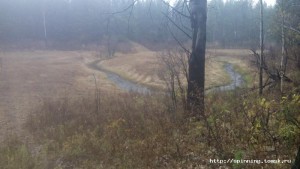 IMG_20141004_124358[1].jpg
