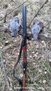 IMG_20141004_103741[1].jpg