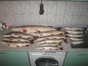IMG_7842.JPG