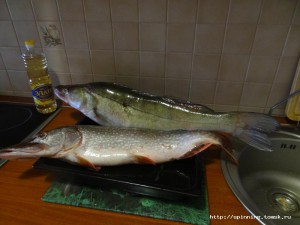 DSC00940.JPG