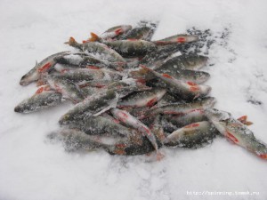 IMG_1943.JPG