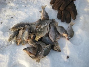 IMG_6290.JPG