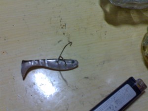 06022010211.jpg