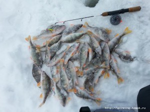 20150115_131039.jpg