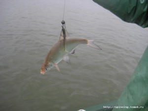 IMG_1289.jpeg