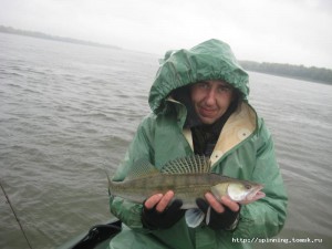 IMG_1293.jpeg