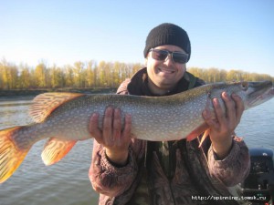 IMG_1303.JPG