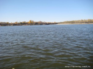 IMG_1305.JPG