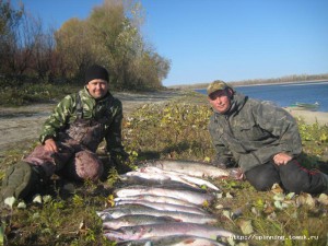IMG_1316.JPG