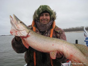 IMG_1346.JPG