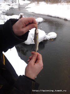 2015-03-01 11.33.23.jpg