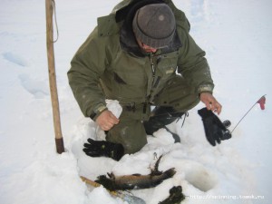 IMG_1491.JPG
