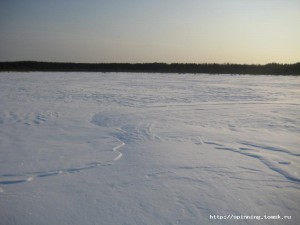 IMG_1494.JPG