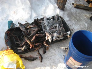IMG_1508.JPG