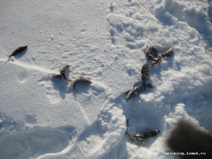 IMG_1509.JPG