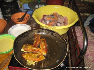 IMG_1513.JPG