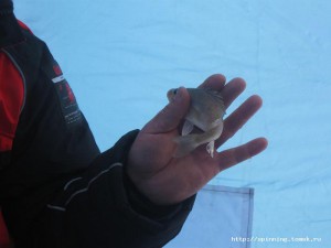 IMG_4172.JPG