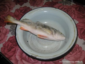 IMG_4185.JPG