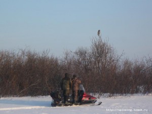 IMG_4191.JPG