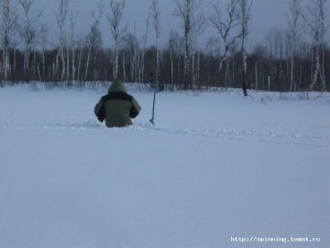 IMG_4207.JPG