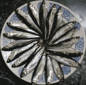 Манерка (Тугун).jpg