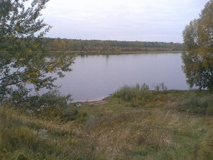 ёжики.jpg