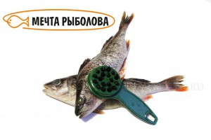Мечта рыболова.jpg
