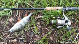 20150522_145256.jpg