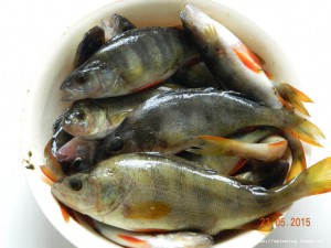 DSCN1812.JPG