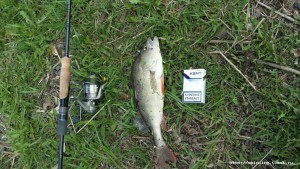 20150524_140930.jpg