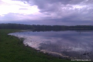 IMAG0058.jpg