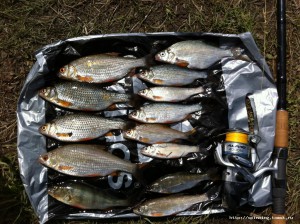 IMG_1888.jpg