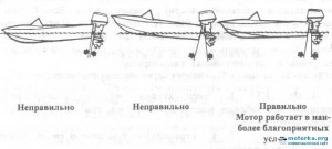 5391894.jpg