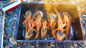 IMG_8018.JPG