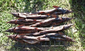 20150614_160517.jpg