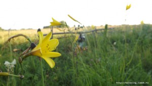 DSCF3960.JPG