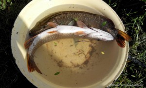 20150722081524.jpg