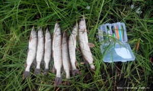 20150804085424.jpg