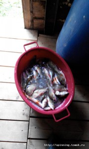 20150811183138.jpg
