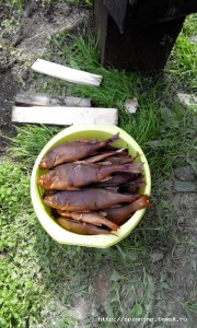 20150812103213.jpg
