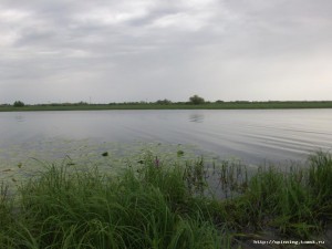 GEDC0148.JPG