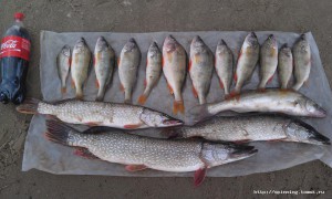 IMAG0960.jpg