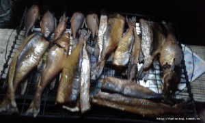 20150822_214328.jpg