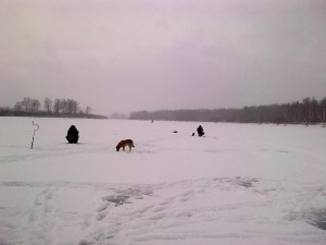 f1312-fb0d17.jpg