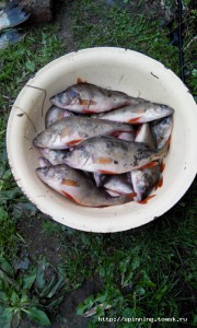 20150826181624.jpg