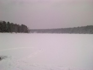 f1313-d1ca2b.jpg